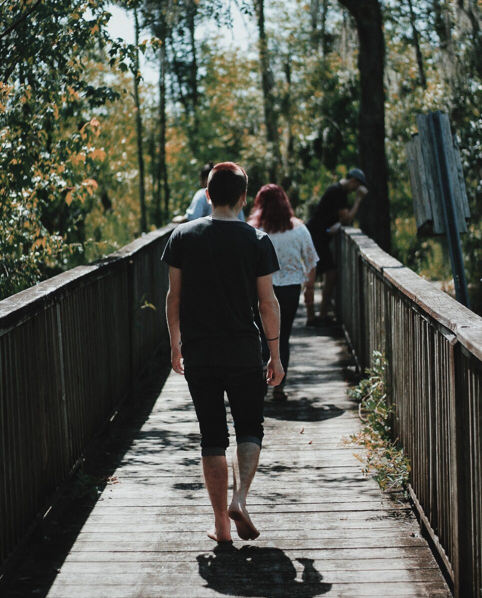 stocksnap-bridge-2596029_1920
