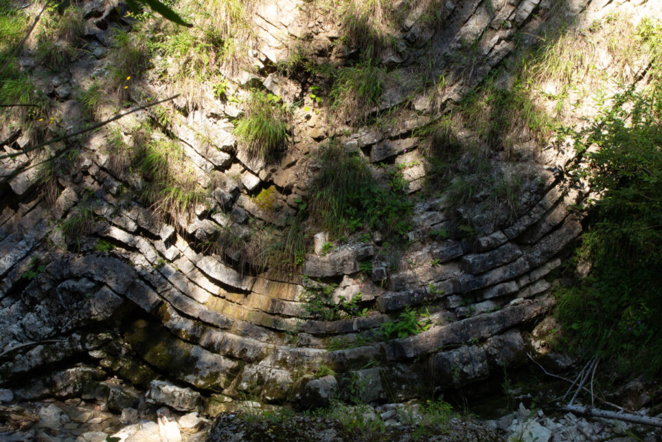 Kultur-Natur__13